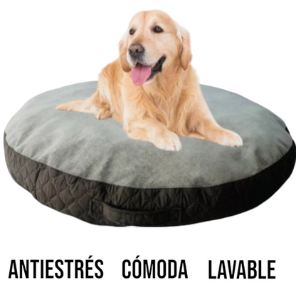 Cama Team Bear Dona Antiestres Talla: X L Lavable