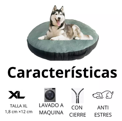 Cama Team Bear Dona Antiestres Talla: X L Lavable