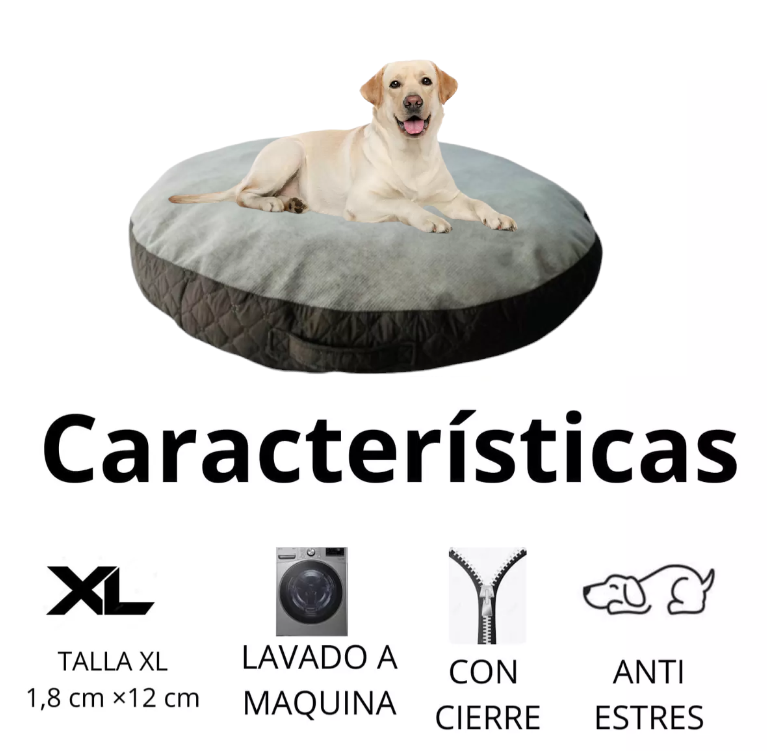 Cama Team Bear Dona Antiestres Talla: X L Lavable