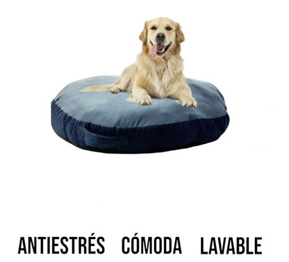 Cama Team Bear Dona Antiestres Talla: X L Lavable