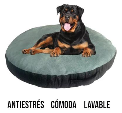 Cama Team Bear Dona Antiestres Talla: X L Lavable