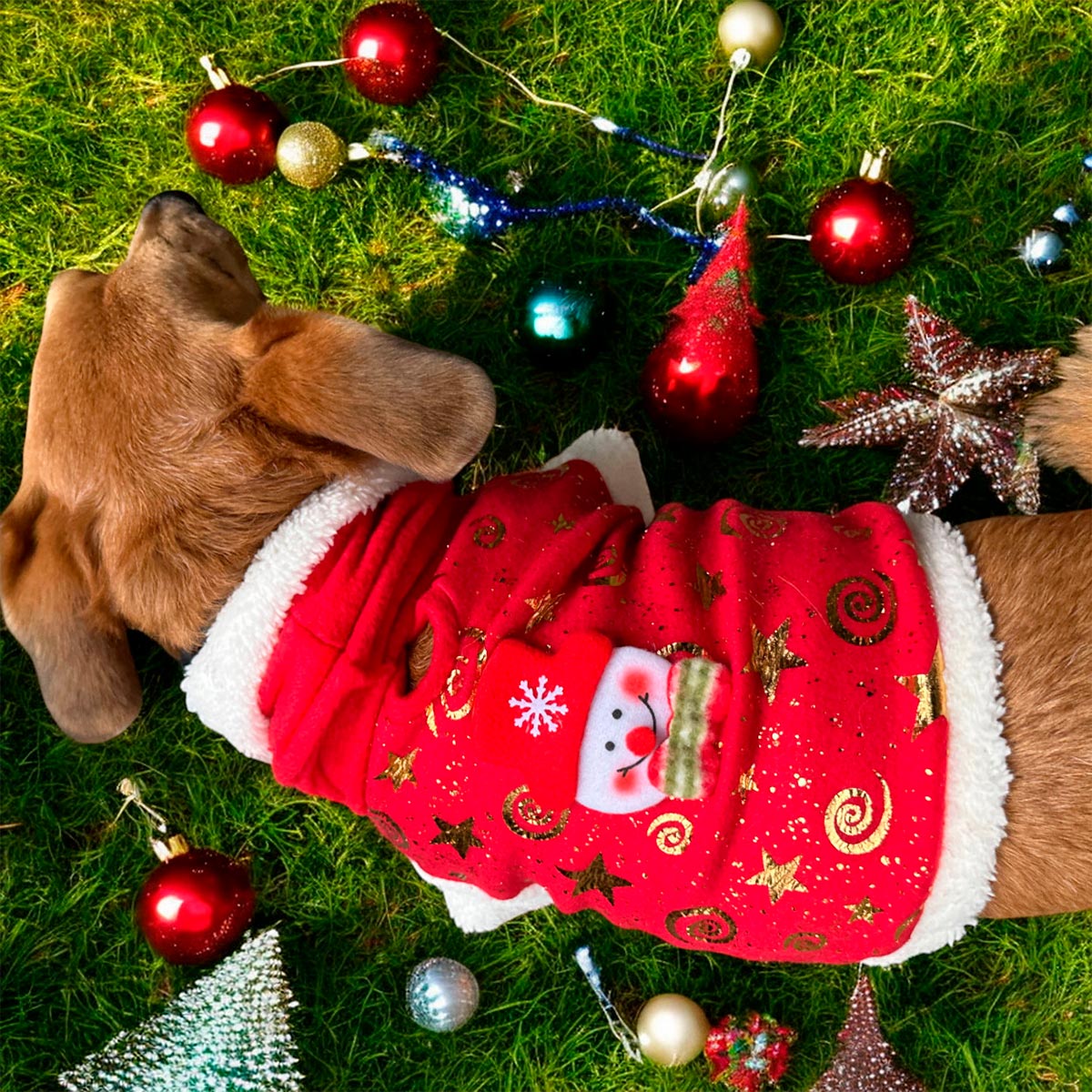 Disfraz Para Mascotas Muñeco de Navidad Traje Navideño Perro Gato DPMNMVE